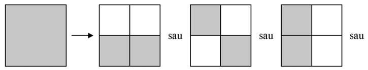 următorul. Astfel, se poate porni de la recurenţa cu caracter statistic... cu raportul de masă (arie)/4 = 1/ şi se poate construi fractalul statistic ce începe prin.