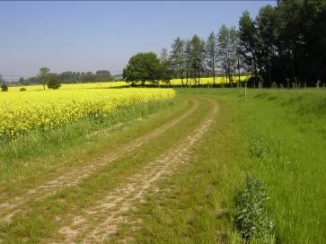 Ľahká konštrukcia spevnenej poľnej