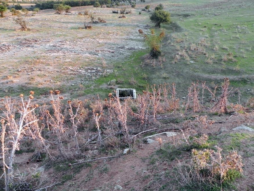 Ποτίστρα στη θέση Στάση Κοκκινοπλίτικου. Κατασκεασμένη από μεταλλικές κοπάνες και τροφοδοτείται από την κτηνοτροφική γεώτρηση. Η βάνα, κατά την αυτοψία, ήταν ανοιχτή. 7.