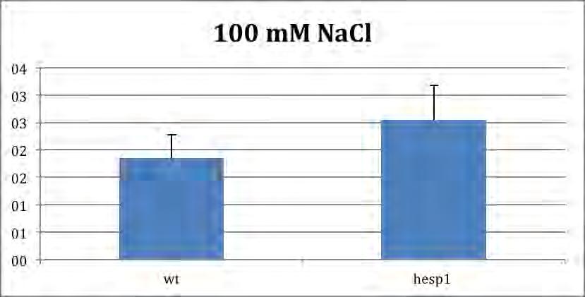 Διάγραμμα 3: 3 η εβδομάδα ανάπτυξης ριζών φυτών wt και hesp1 σε MS, 75 mm και 100 mm NaCl 3.