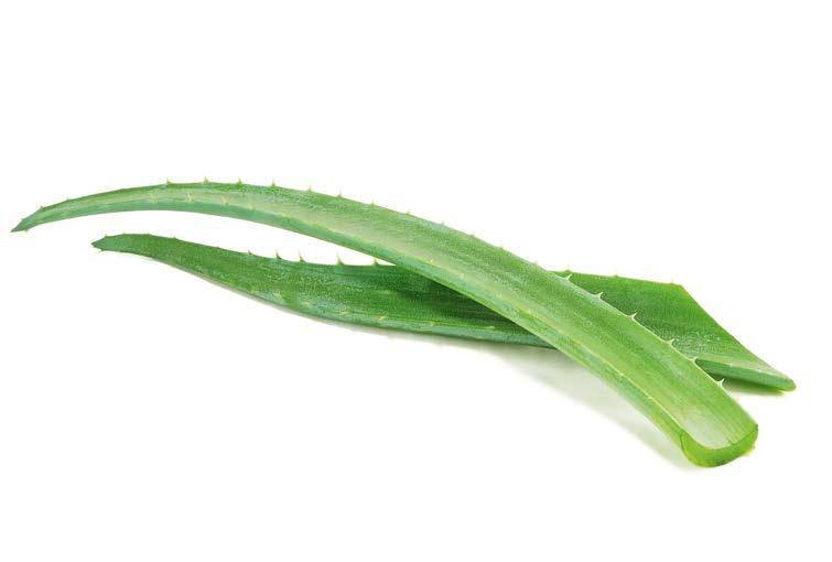 προϊόντα της σειράς Aloe Vera Care.