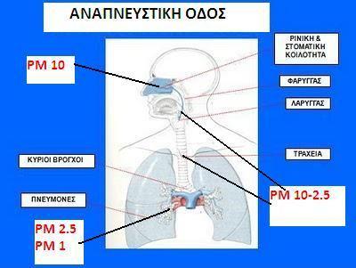 Όσον αφορά στα αιωρούμενα σωματίδια, αποτελούν έναν από τους πιο επικίνδυνους ρύπους της ατμόσφαιρας. Ενδείξεις για την επιβλαβή επίδρασή τους στην ανθρώπινη υγεία υπήρχαν από το 1950.