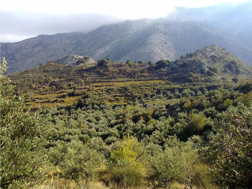 Ζ3:Αποψη του λόφου Καστροκέφαλο.