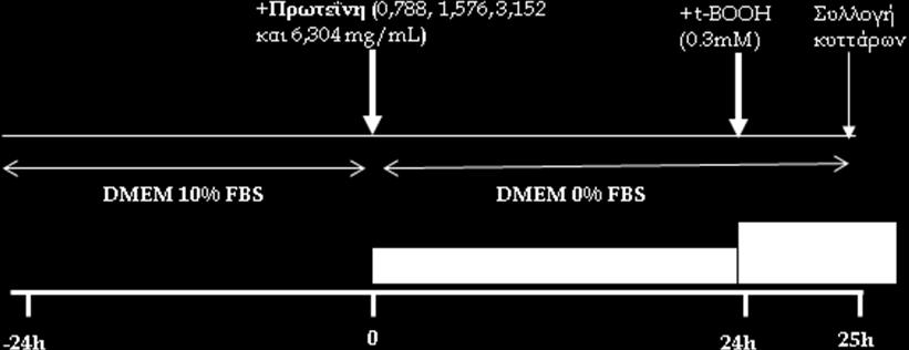 Εκχύλισμα συγκέντρωσης 2.