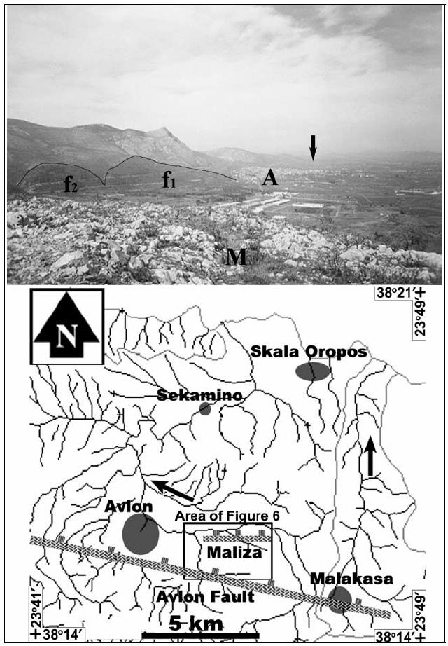 Σχ. 26: Επάνω: Φωτογραφία του ρήγµατος του Αυλώνα όπως φαίνεται από το λόφο της Μάλιζας (γράµµα Μ). f1 και f2 είναι διαβρωµένες τριγωνικές επιφάνειες (triangular facets) του ανθρακικού υποβάθρου.