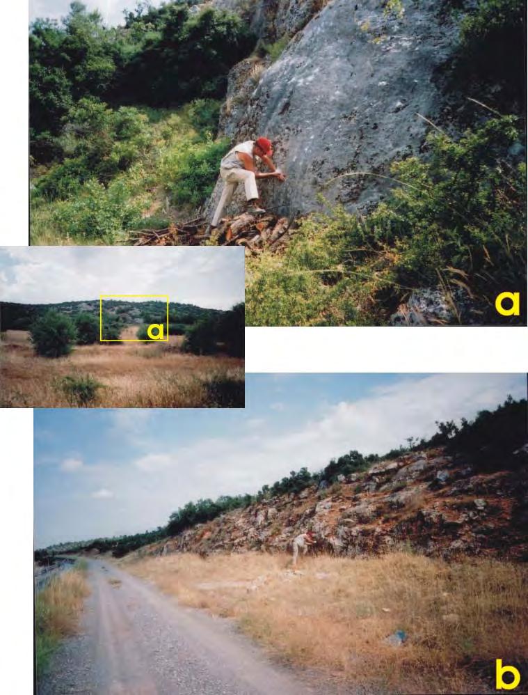 Σχ. 63: Φωτογραφίες του ρήγµατος Αρµακά στις θέσεις Ν15 (a) και Ν16 (b).