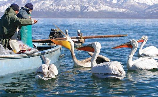 τοπικούς οικοξεναγούς, Δυνατότητα κάλυψης διαφόρων