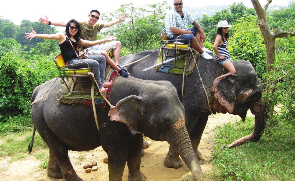 TR AV EL & TO UR S Elephant Trekking and Riding Έναρξη: 08:00 Διάρκεια: Μισή Μέρα PL UT ON ΜΕ ΕΛΕΦΑΝΤΕΣ & ΠΕΖΟΠΟΡΙΑ PLUTON TRAVEL & TOURS T:24 821777 Εξερευνήστε το Πουκέτ από την πιο θεαματική θέση