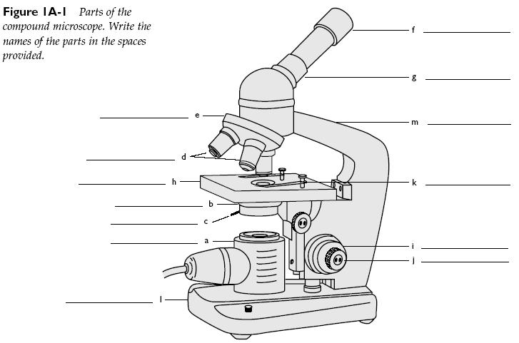 1) Surasti optines ir mechanines šviesinio sudedamo mikroskopo sistemų dalis; 2) Aptarti kiekvienos dalies funkciją. Pav. 1A-1 Darbo eiga: 1.