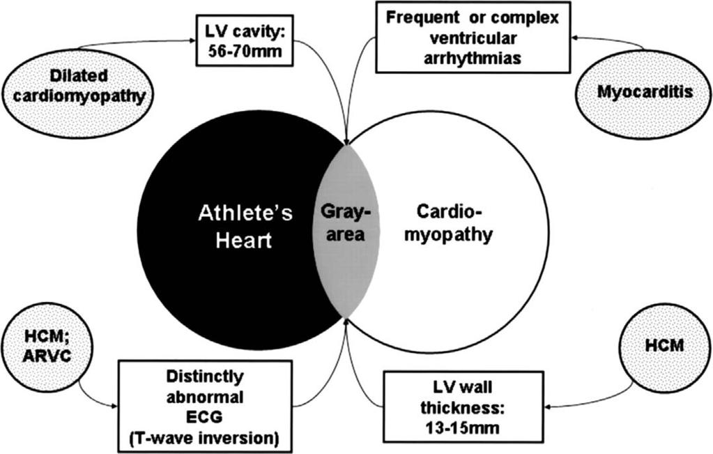 Differential diagnosis between athlete's heart and cardiac disease Maron, B. J.