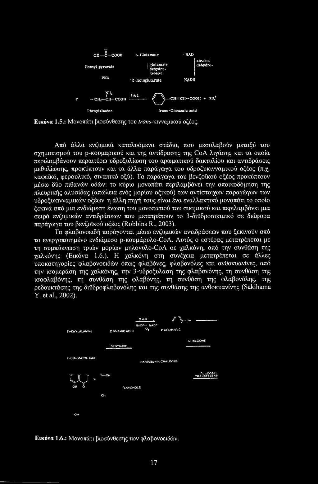 Από άλλα ενζυμικά καταλυόμενα στάδια, που μεσολαβούν μεταξύ του σχηματισμού του ρ-κουμαρικού και της αντίδρασης της CoA λιγάσης και τα οποία περιλαμβάνουν περαιτέρω υδροξυλίωση του αρωματικού