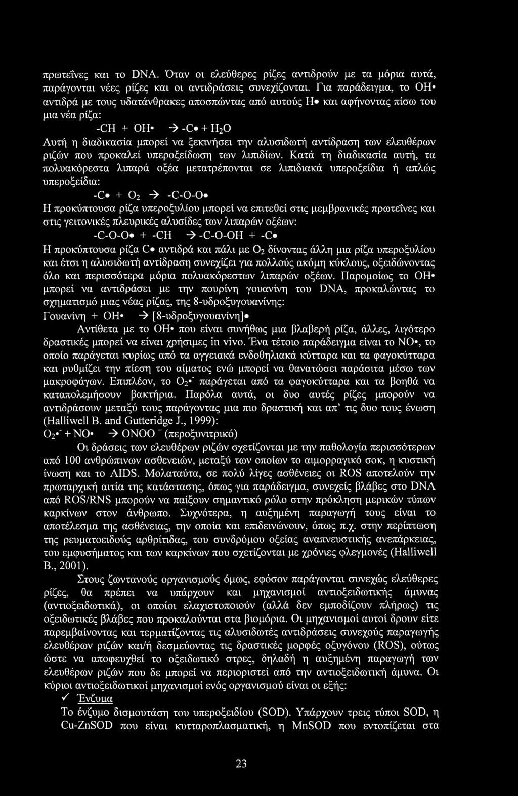 πρωτεΐνες και το DNA. Όταν οι ελεύθερες ρίζες αντιδρούν με τα μόρια αυτά, παράγονται νέες ρίζες και οι αντιδράσεις συνεχίζονται.