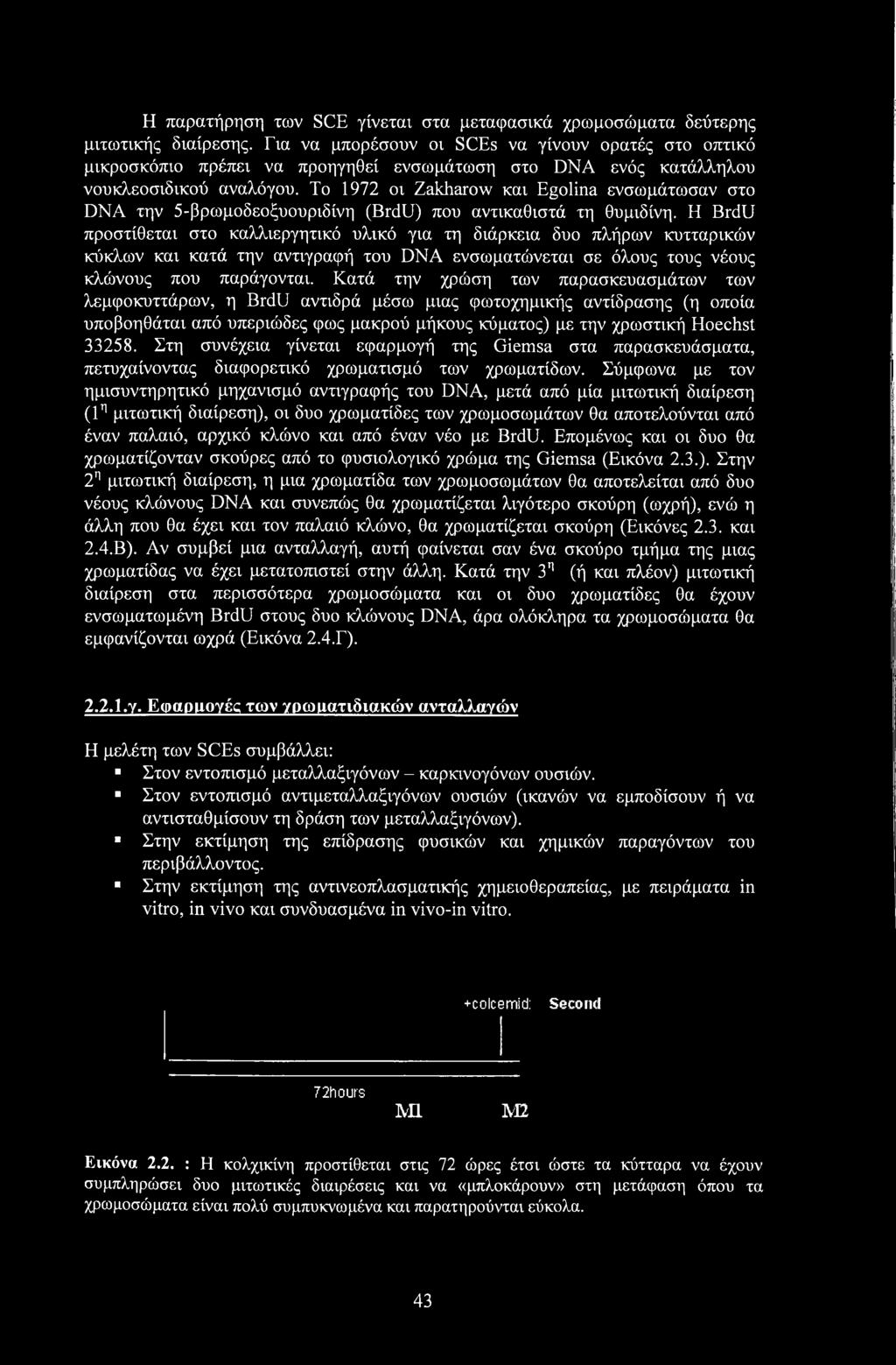 Το 1972 οι Zakharow και Egolina ενσωμάτωσαν στο DNA την 5-βρωμοδεοξυουριδίνη (BrdU) που αντικαθιστά τη θυμιδίνη.