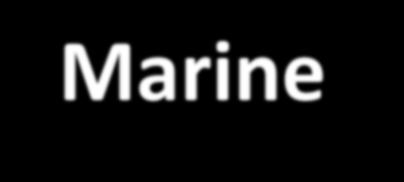 Marine