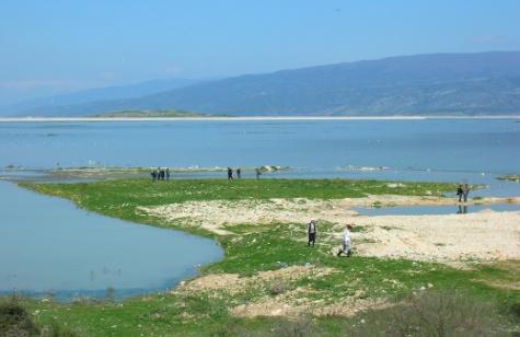 3.2 ΔΥΝΑΤΟΤΗΤΕΣ ΑΝΑΙΡΕΣΗΣ ΙΤΥΣ ΚΑΙ ΤΥΣ 3.2.1 