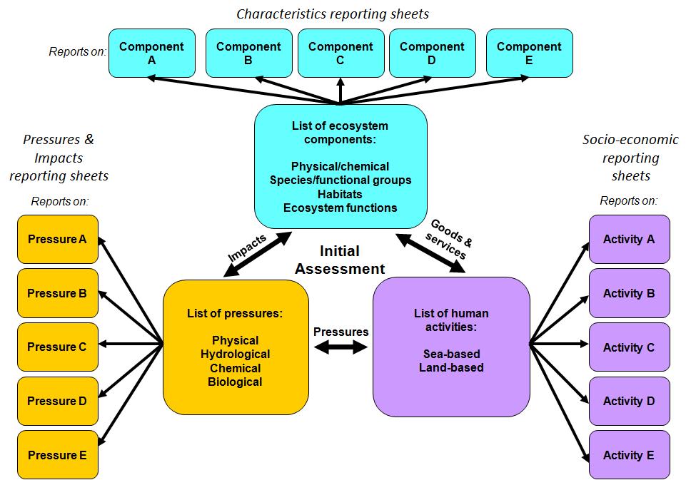 MSFD Initial Assessment concept European Commission. 2012.