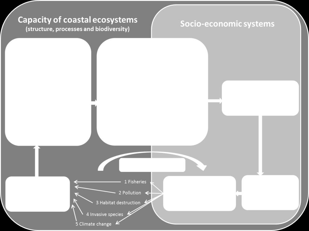 A coupled socio-ecological system.