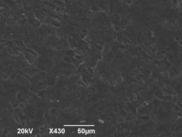 Εικ. 9. Εικόνα Vycor - SEM σε 20kV X430 4.
