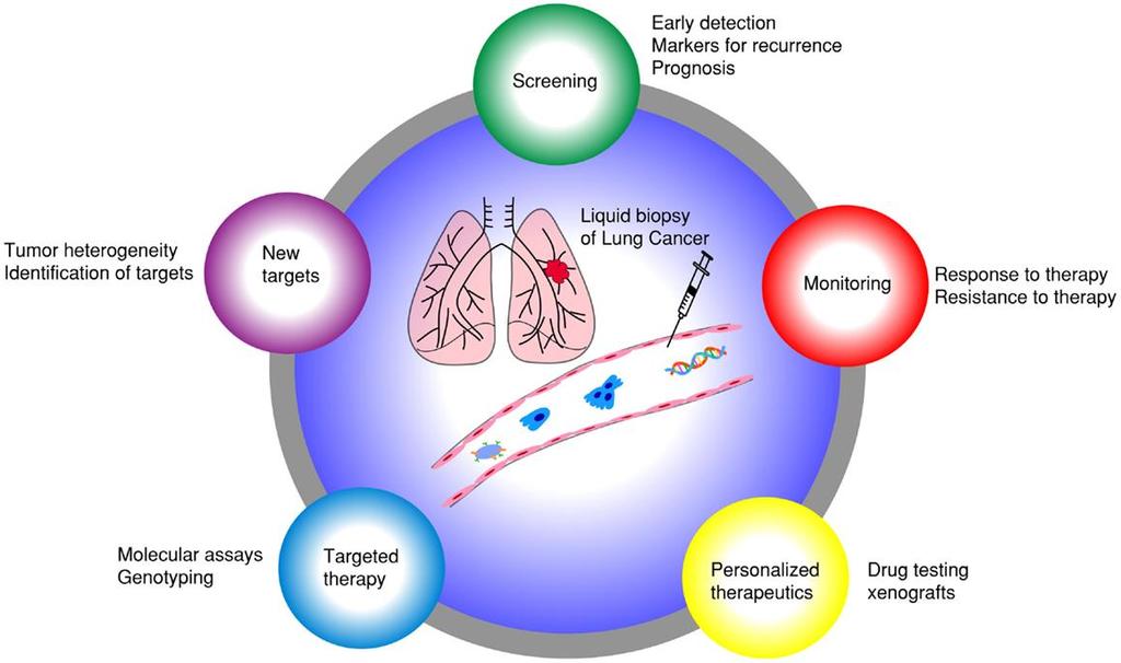 DNA(ctDNA) Blood: serum, plasma,