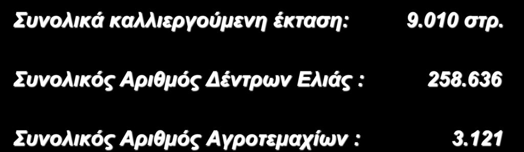 Συνολικός Αριθμός Δέντρων Ελιάς : 258.