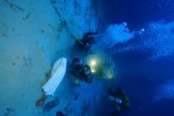 Currents, Wreck Diving, Dive Guide, Dive Master, Dive Control Specialist (Assistant Instructor) Εκπαιδεύει και πιστοποιεί δύτες τεχνικής κατάδυσης: Extended Range Nitrox Εκπαιδεύει και πιστοποιεί