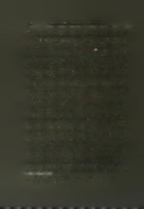 Δεν αποκλείεται επομένως δυτικώτερον τής τάφρου και εγγύτερον των κλιτυων νά υπάρχους αρχαία λείψανα.