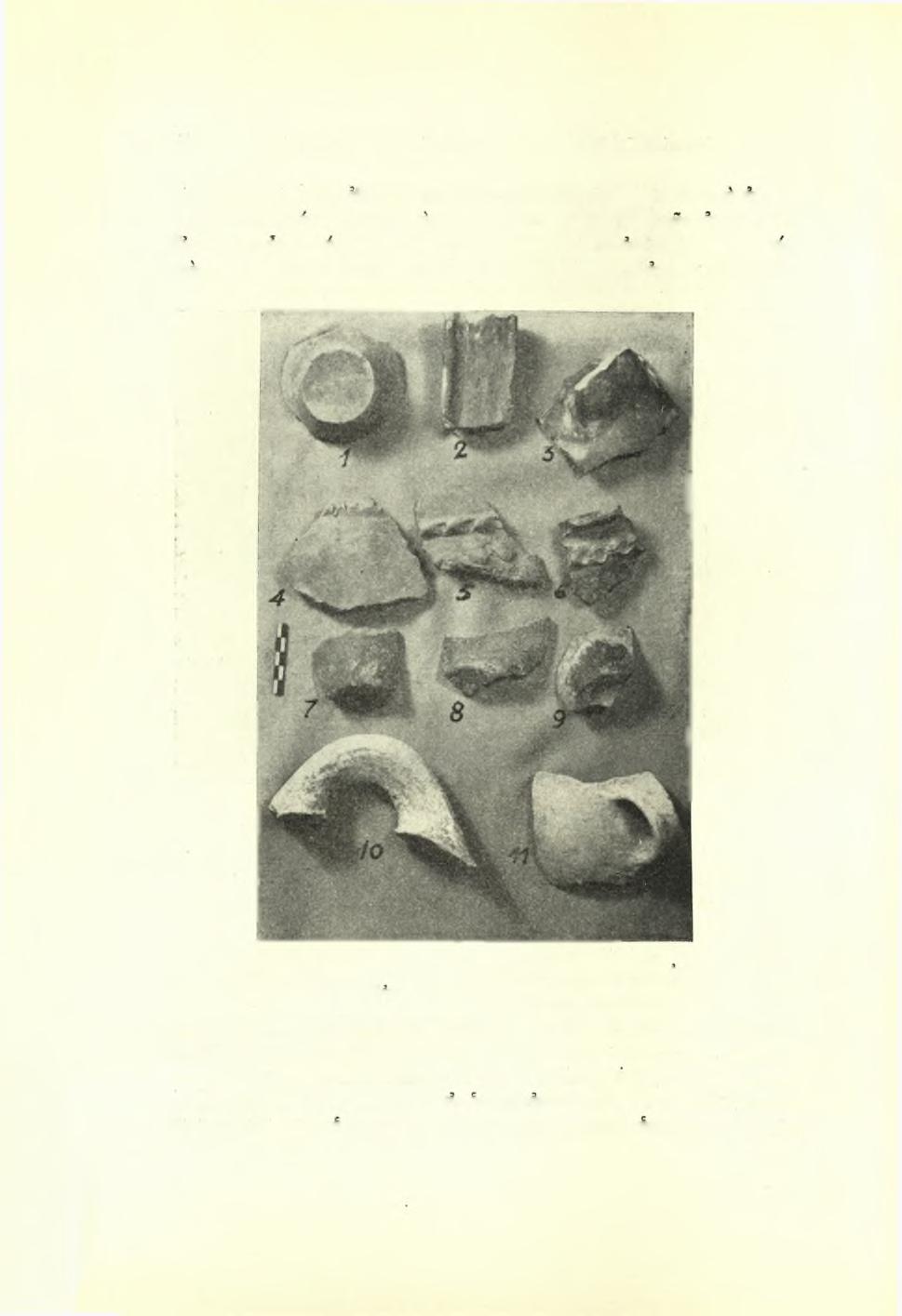 180 Πρακτικά τής Αρχαιολογικής 'Εταιρείας 1951 σμησιν (είκ. 5,4-6), εξάγεται τό μάλλον βέβαιον συμπέρασμα, ότι τα αγγεία ταΰτα συνυπήρξαν ποτέ κατά την 2αν π.χ. χιλιετηρίδα μετά των αγγείων II.