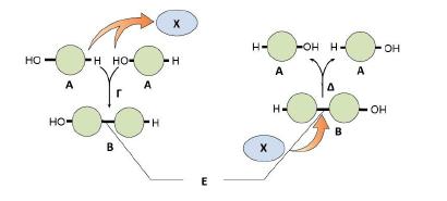 1) Στην ακόλουθη εικόνα παρουσιάζονται σχηματικά δύο χημικές αντιδράσεις.