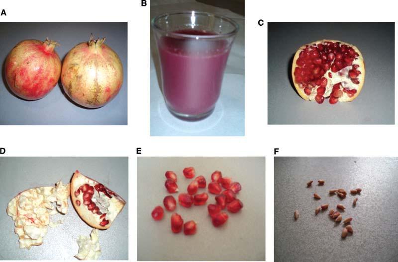 3.7 Χημική σύνθεση ροδιού Το ρόδι ως φρούτο (Εικόνα 18) έχει πολύτιμα συστατικά στα διαφορετικά μέρη του.
