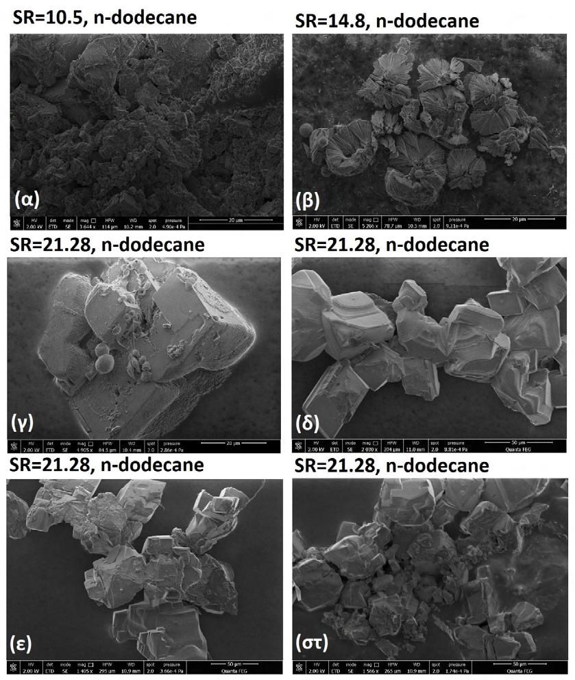 Η παρουσία του δωδεκανίου ευνόησε τον σχηματισμό συσσωματωμάτων. Στην Εικόνα 6.22 παρατίθενται φωτογραφίες SEM κρυστάλλων που έχουν δημιουργήσει πολύπλοκα συσσωματώματα, για SR initial =10.