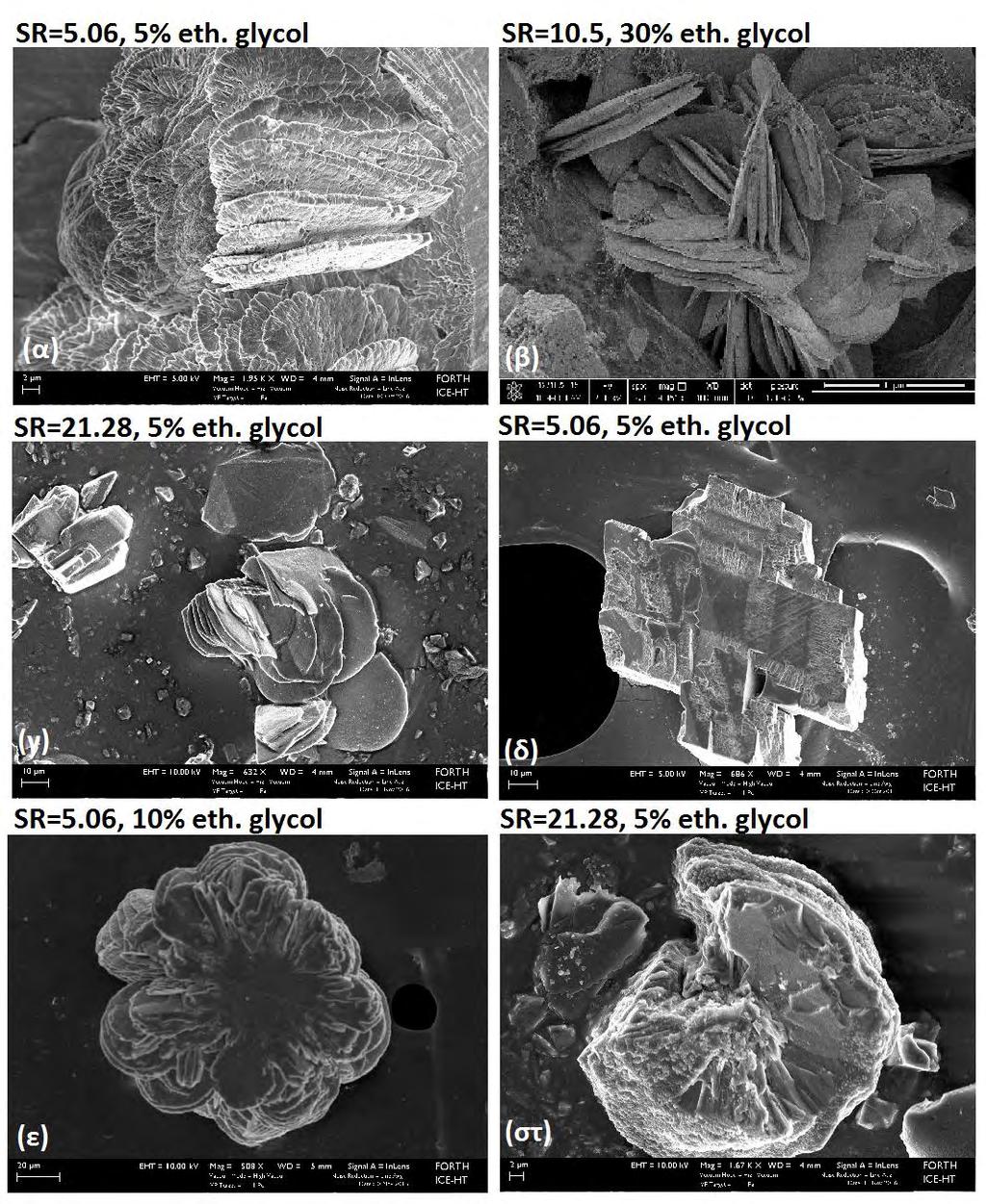 Εικόνα 6.53: Φωτογραφίες SEM για διάφορους σχηματισμούς για (α), (δ) SR initial =5.06 και 5% v/v αιθυλενογλυκόλη, (β) SR initial =10.