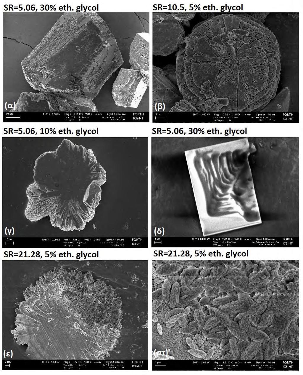 Εικόνα 6.54: Φωτογραφίες SEM για διάφορους σχηματισμούς για (α), (δ) SR initial =5.06 και 30% v/v αιθυλενογλυκόλη, (β) SR initial =10.