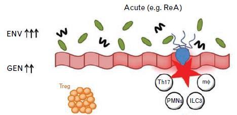 Rheumatol