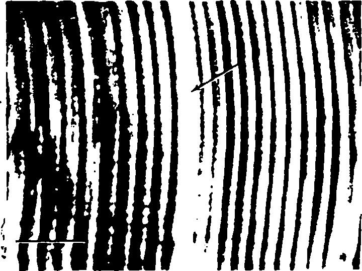 Η παραγόμενη μάρκα έχει την μορφή στενής φωτεινής ζώνης, όπως φαίνεται στην Εικ. 22.