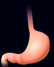 Tract Insulin Secretion