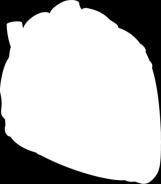 2006;3:153-165.