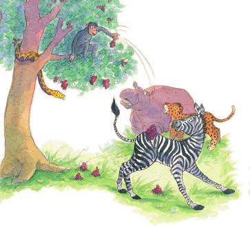 «Να δούμε τώρα ποιος θα πιάσει τα περισσότερα μούρα!» φώναξε η μαϊμουδίτσα πάνω από το δέντρο. Τα ζώα δυσκολεύονταν.