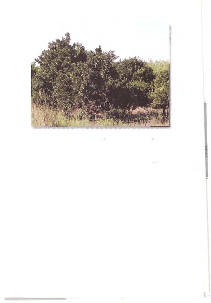 Εικόνα 2.