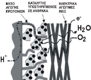 Κεφάλαιο 2: Κυψέλες Καυσίμου Πολυμερικής Μεμβράνης Σχήμα 2.3. Μεταφορά αερίων, ηλεκτρονίων και πρωτονίων στο ηλεκτρόδιο μίας κυψέλης καυσίμου τύπου ΡΕΜ [61].