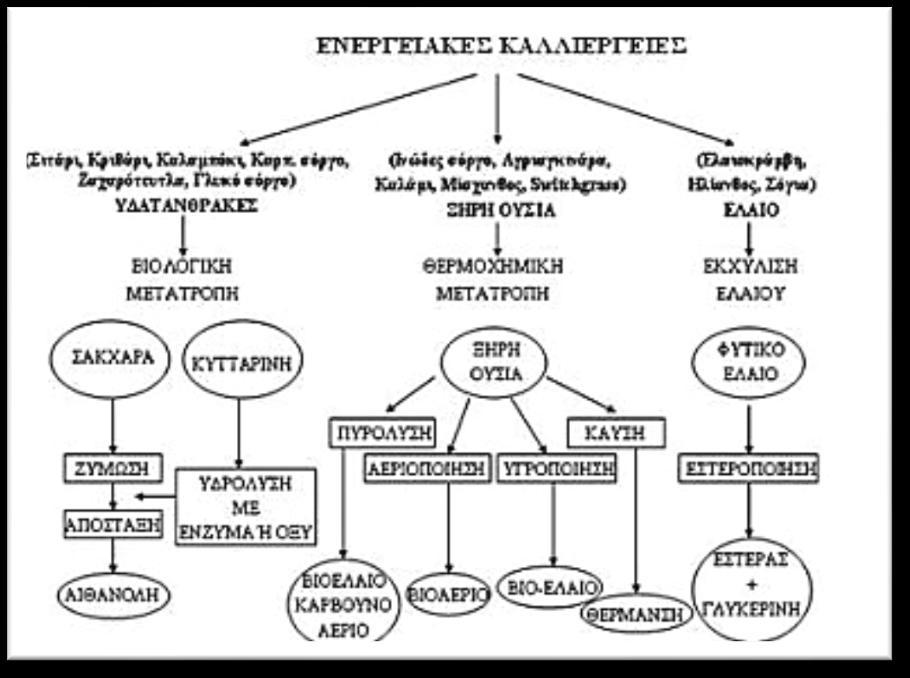 27 Σχήμα 1.1 Διεργασίες μετατροπής της βιομάζας και τα παραγόμενα βιοκαύσιμα (Κούγιας, 2010).