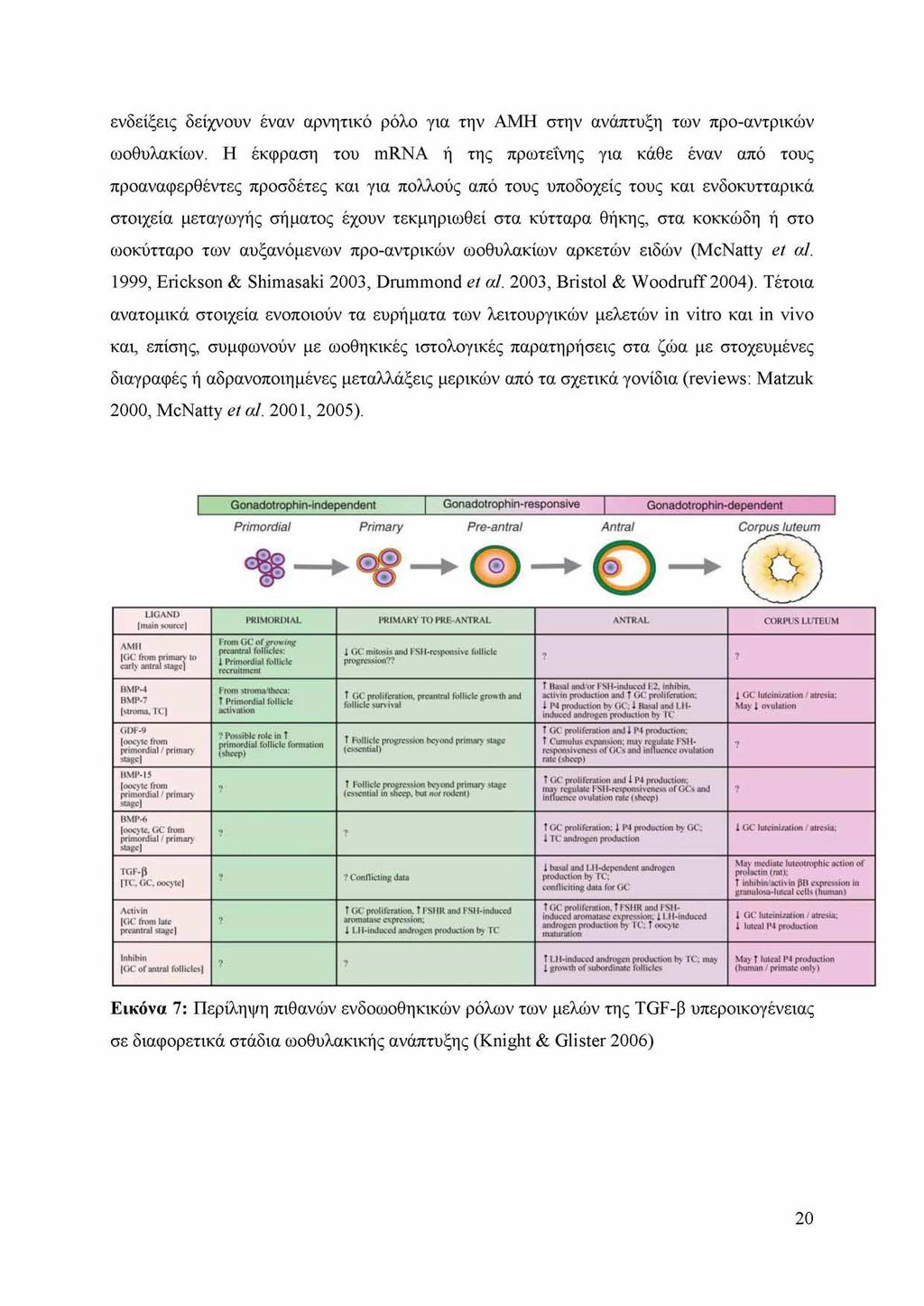 ενδείξεις δείχνουν έναν αρνητικό ρόλο για την AMH στην ανάπτυξη των προ-αντρικών ωοθυλακίων.