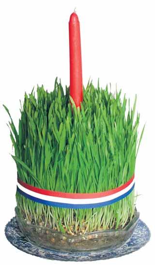 Hrvatski Božićni običaji u prošlosti i danas Običaj darivanja Pripreme za veliki blagdan počinju običajima darivanja uz dan Sv. Nikole (6. prosinca) i dan Sv. Lucije (13. prosinca) koji postoje od 11.