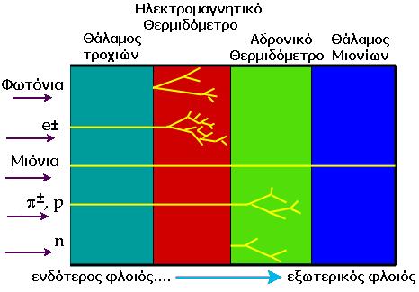 Πώς δουλεύει ένας Ανιχνευτής?