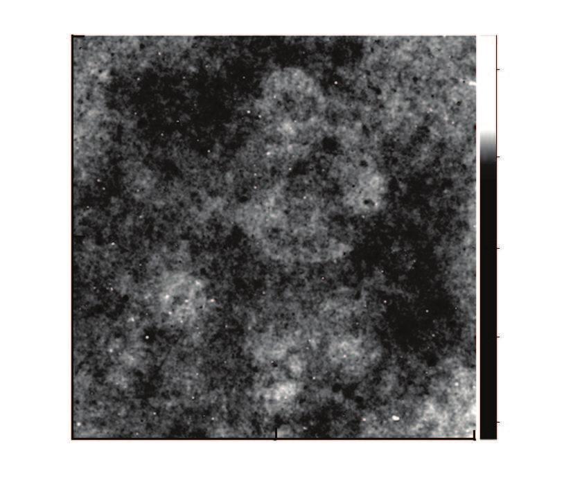 10 ¹ : Fe Ni UBM Ü 1277 Intensity, a.u. Ø 3 Å ¼ Fig.3 Thickness distribution of typical deposit Mass fraction of Fe, % 69.67 67.66 60.82 55.98 51.66 49.82 44.08.78.25.18 9.