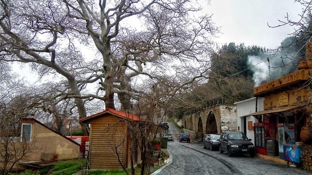 από αηιλάκουσ, καμνϊδεσ φυτό το οποίο απαντάται μόνο ςε ελάχιςτεσ περιοχζσ τθσ νιςου.