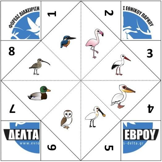 3 ΔΩΡΟ: Η αλατιέρα με τα πουλιά του Εθνικού Πάρκου Δέλτα Εβρου!