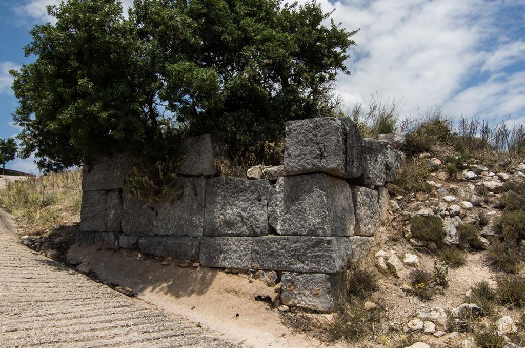 Επίσης, μυκηναϊκοί οικισμοί και νεκροταφεία θαλαμοειδών τάφων βρέθηκαν στις θέσεις «Γέφυρα» ή «Λέδεζα», ΝΑ της Τανάγρας και στις θέσεις «Δένδρο» ή» Γκράβα», ανατολικά της Τανάγρας 11.