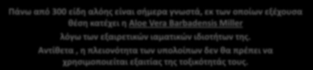 Το φυτό Αλόη Βέρα Η αλόη είναι φυτό & μοιάζει με κάκτο & μεγαλώνει σε άνυδρα κλίματα. Κατά πάσα πιθανότητα κατάγεται στη Β. Αφρική, τις Κανάριους Νήσους και το Πράσινο Ακρωτήρι.