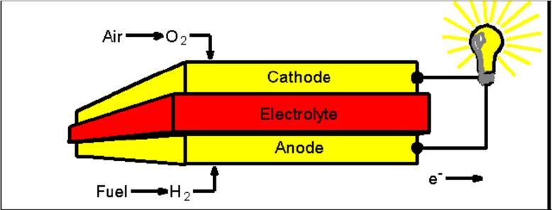Τα ηλεκτρόδια ανόδου και καθόδου αντιπροσωπεύουν τον αρνητικό και θετικό πόλο αντίστοιχα της κυψέλης, ενώ ο ηλεκτρολύτης είναι η ουσία που μεταφέρει τα φορτισμένα ιόντα από το ένα ηλεκτρόδιο στο άλλο.