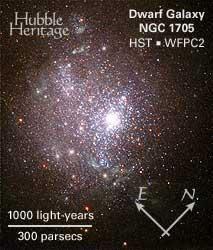 28 2001), NGC 1569 (Grocholski et al. 2008), NGC 2915 (Elson, de Blok & Kraan-Korteweg 2012), NGC 3353 (Johnson et al. 2004).